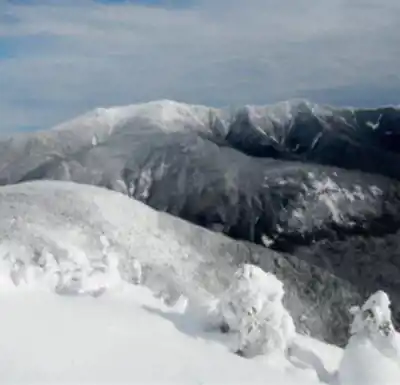 Cannon Mountain hiking trail - natural landscape
