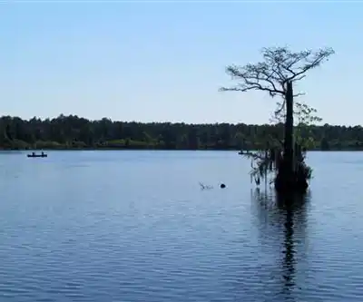 Singletary Lake hiking trail - natural landscape