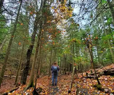 Mount Jo, New York hike - nature and outdoors