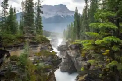 Hiking view of Athabasca Falls