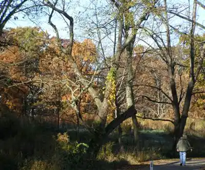 Beechwood State Park hiking trail - natural landscape