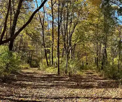 Lehigh Valley Trail hiking trail - natural landscape