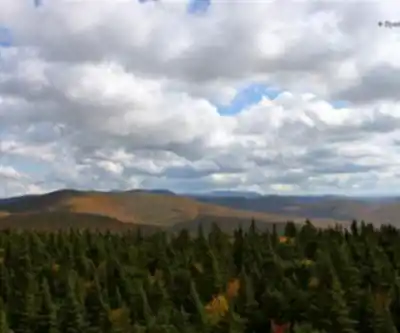 Balsam Lake Mountain, New York hiking trail - natural landscape