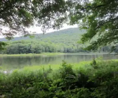 Hiking view of Balsam Lake Mountain, New York