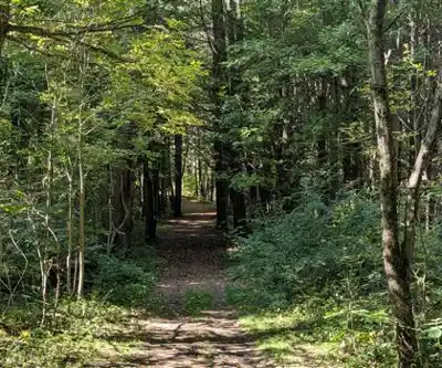 Dundas Valley Conservation Area hiking trail - natural landscape