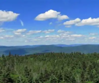 Sentier de randonnée Graham Mountain, New York - paysage naturel