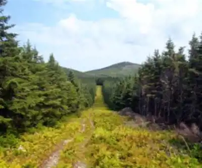 Sentier de randonnée Boundary Peak, New York - paysage naturel