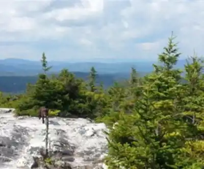 Hiking view of Blueberry Mountain, New York