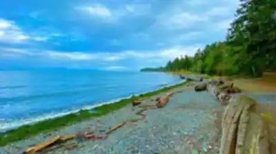 Miracle Beach hiking trail - natural landscape