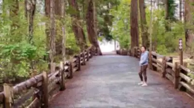 Discover Miracle Beach in Vancouver Island