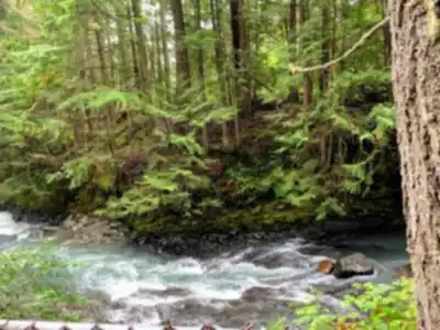 Brandywine Falls Provincial Park hike - nature and outdoors