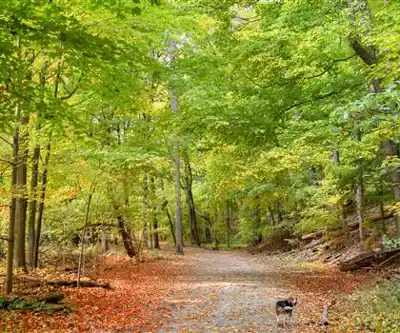 Sentier de randonnée Culham Trail - paysage naturel
