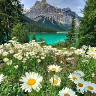 Randonnée Yoho National Park - nature et plein air