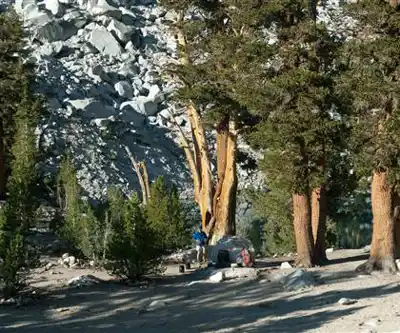 University Peak, California hiking trail - natural landscape