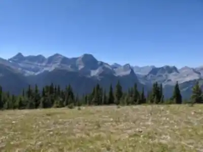 Vue en randonnée de Pigeon Mountain