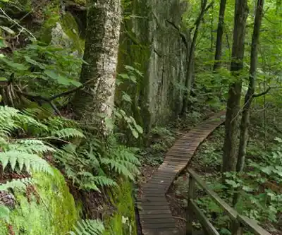 Mont Blanc hiking trail - natural landscape