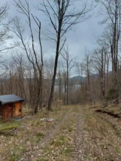 Mont Chagnon hiking trail - natural landscape