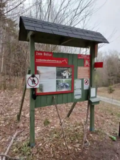Mont Chagnon hike - nature and outdoors