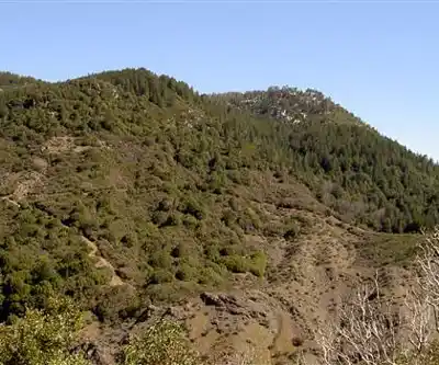 Cobb Mountain, California hiking trail - natural landscape