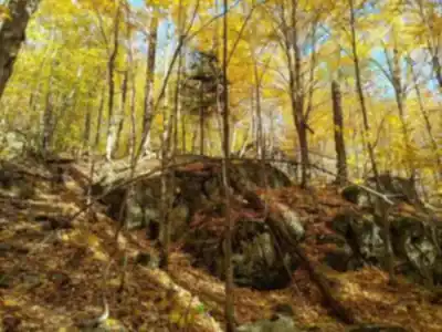 Randonnée Mont Chauve - nature et plein air