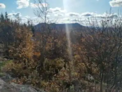 Explorer le sentier Mont Chauve