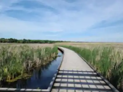 Discover Point Pelee National Park High Point in Southwest Ontario