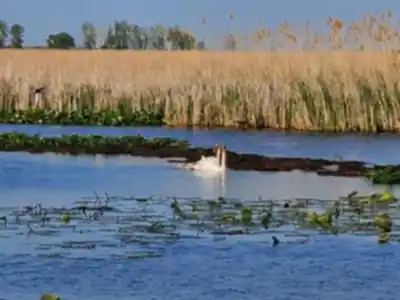 Point Pelee National Park High Point hike - nature and outdoors