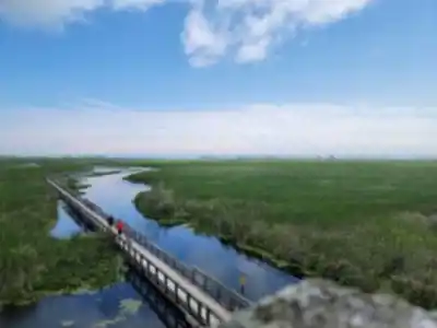 Point Pelee National Park High Point hiking trail - natural landscape