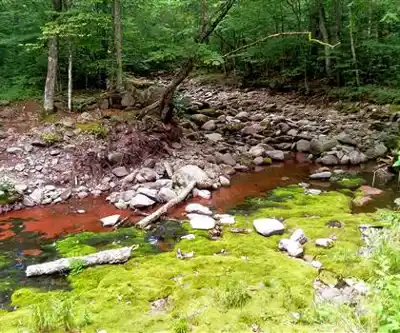 Sentier de randonnée Fir Mountain, New York - paysage naturel