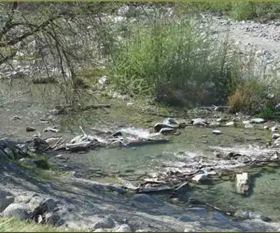 Chalk Hill, California hiking trail - natural landscape