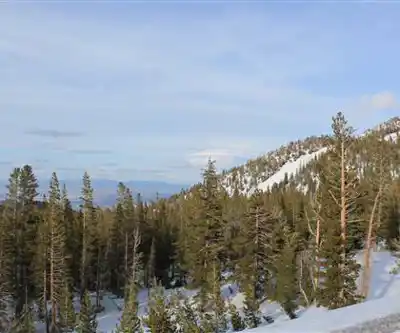 Slide Mountain, Nevada hiking trail - natural landscape