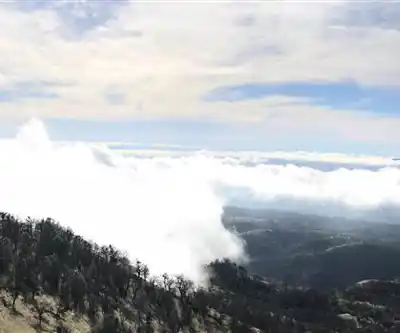 Mount Hamilton, California hiking trail - natural landscape