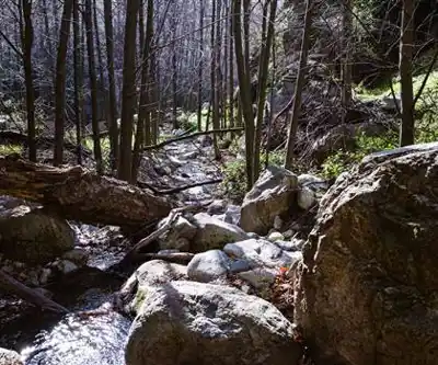 Sentier de randonnée Mount Lowe, California - paysage naturel
