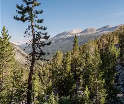 Sentier de randonnée Mount Lyell, California - paysage naturel
