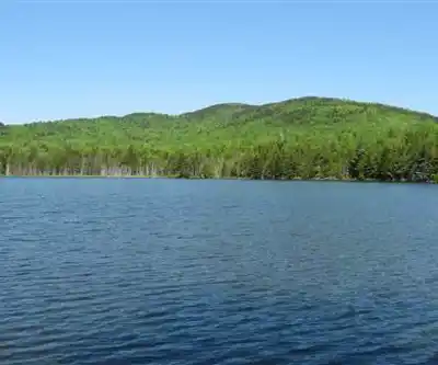 Lead Mountain, Maine hiking trail - natural landscape