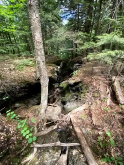 Explorer le sentier Mont Echo