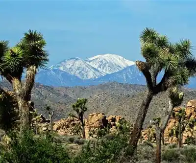 Ranger Peak, California hiking trail - natural landscape
