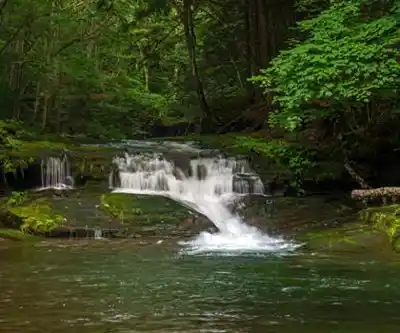 Eagle Mountain, New York hiking trail - natural landscape