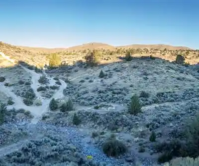 Bald Hill, California hiking trail - natural landscape