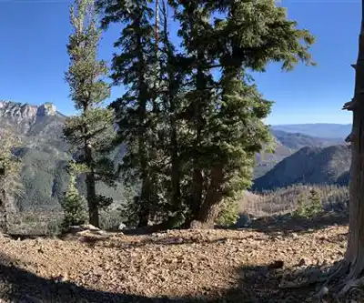 Harris Mountain, Nevada hiking trail - natural landscape