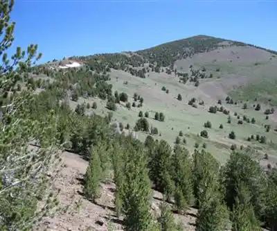 Scott Mountain, California hiking trail - natural landscape