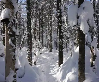 Explore Mont Kaaikop trail