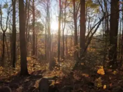 Explore Mont Kaaikop trail