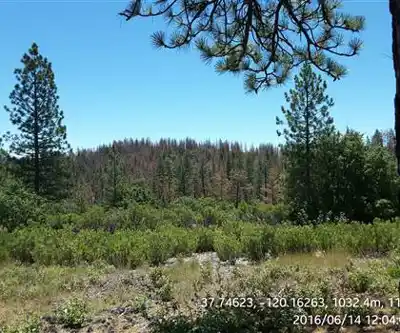 Greeley Hill, California hiking trail - natural landscape