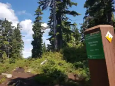 Explore Saint Marks Summit trail