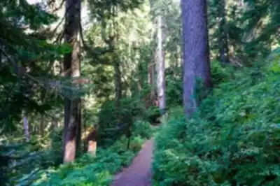 Saint Marks Summit hike - nature and outdoors