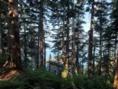Saint Marks Summit scenery - hiking