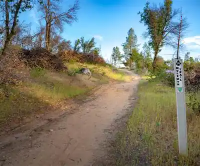 Oak Knoll, California hiking trail - natural landscape