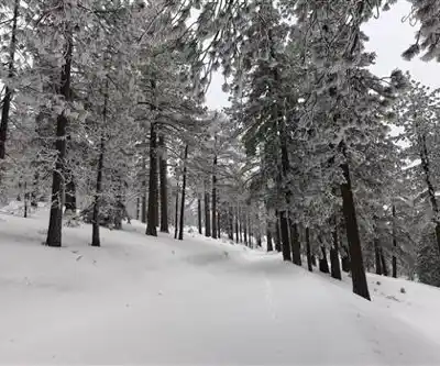 Frazier Mountain, California hiking trail - natural landscape