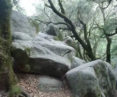 Castle Mountain, California hiking trail - natural landscape